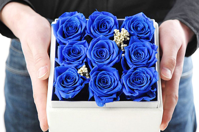 Quà tặng 20 tháng 10 độc đáo, ý nghĩa