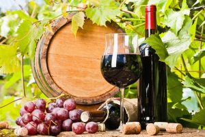 cách bảo quản rượu vang