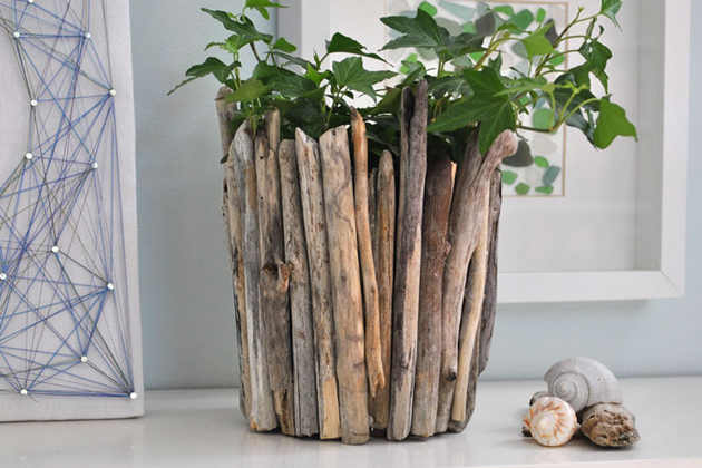 gỗ trang trí chậu cây trồng
